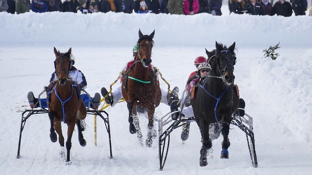 是对这句话 是对这句话