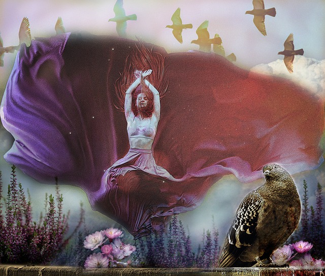 提供了前所 提供了前所