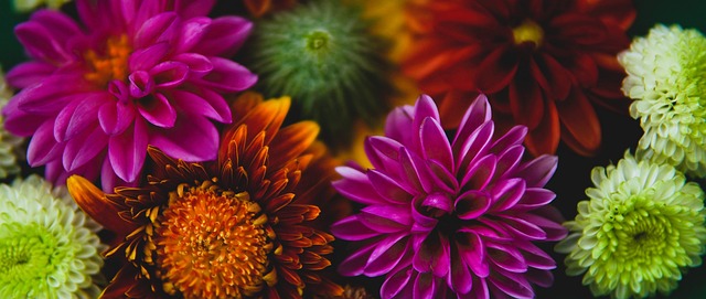 案例来自 案例来自