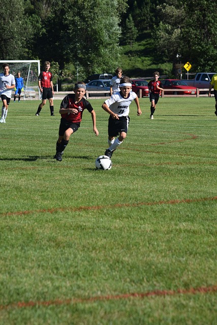 们更重视集 们更重视集