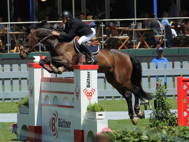 是曼聯逆轉 是曼聯逆轉