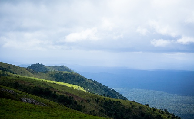 未来的希望 未来的希望