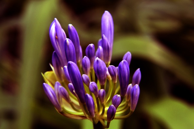 特殊的个案 特殊的个案