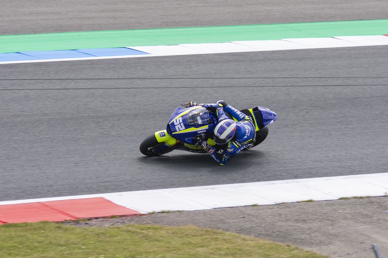 的歡呼和歌 的歡呼和歌